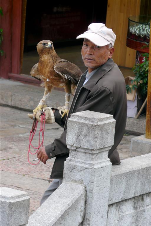 LIJIANG - een man met roofvogel in het oude centrum