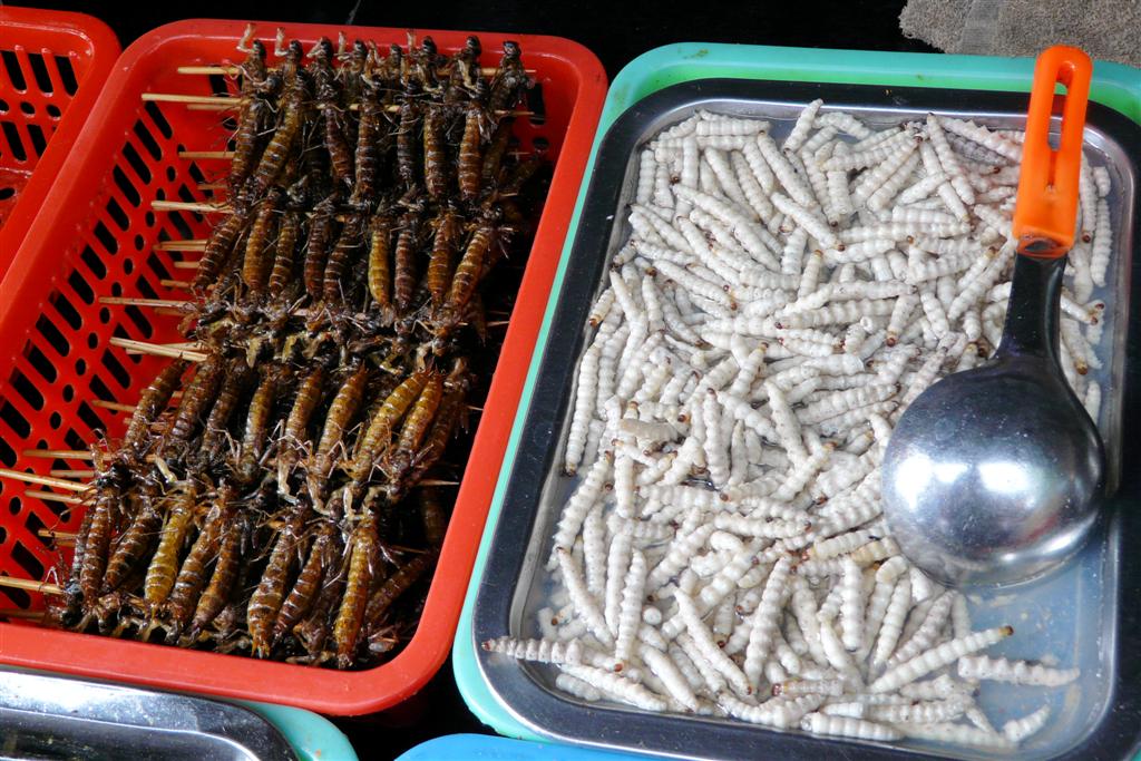 LIJIANG - wormen in het oude centrum