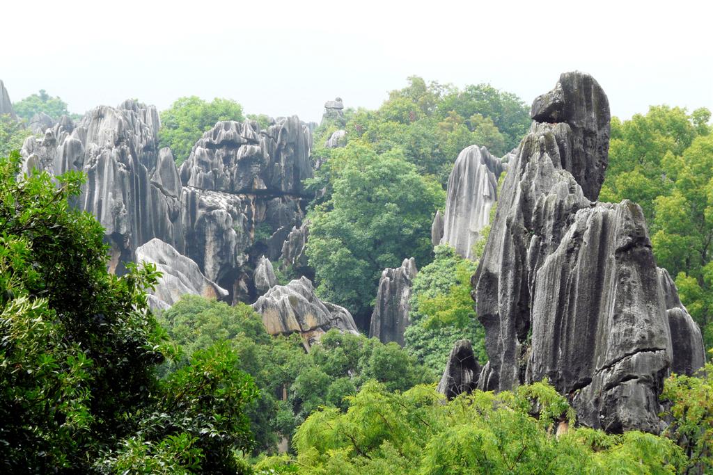 KUNMING - het stenen woud