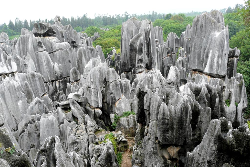 KUNMING - het stenen woud