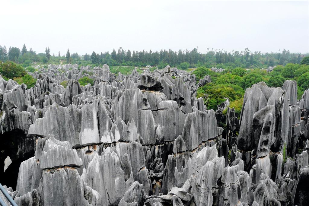 KUNMING - het stenen woud