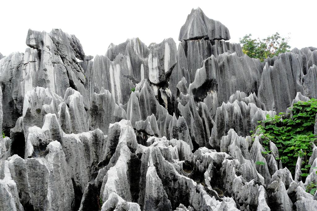 KUNMING - het stenen woud