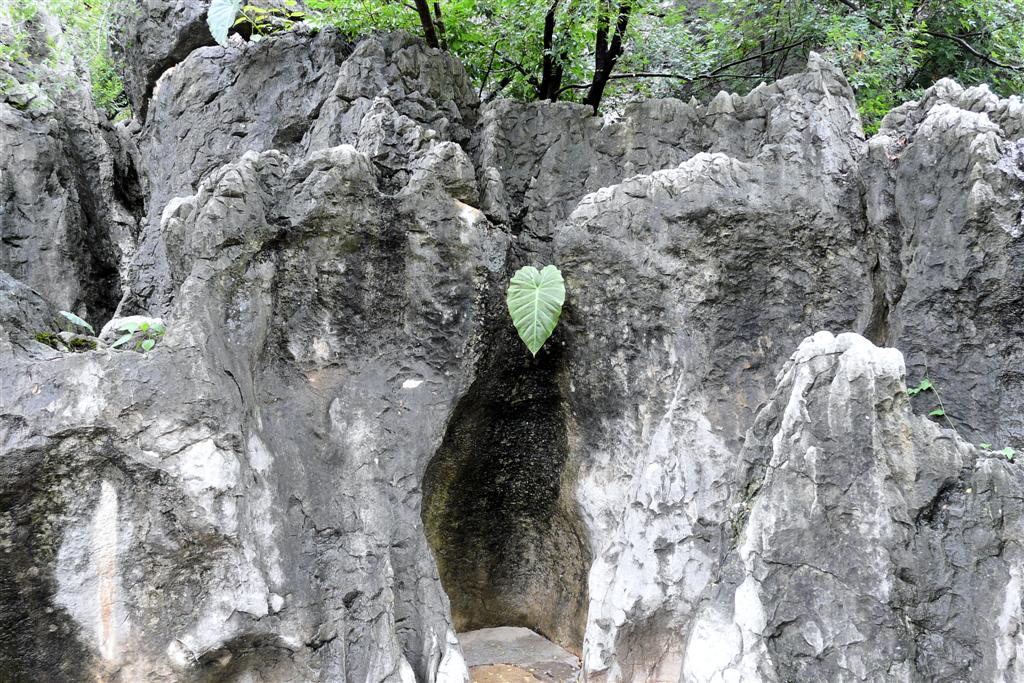 KUNMING - het stenen woud