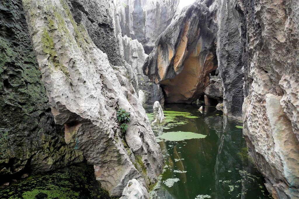 KUNMING - het stenen woud