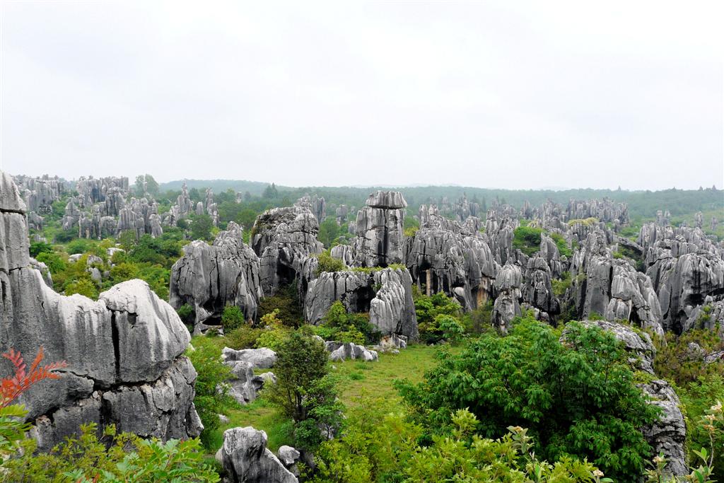 KUNMING - het stenen woud