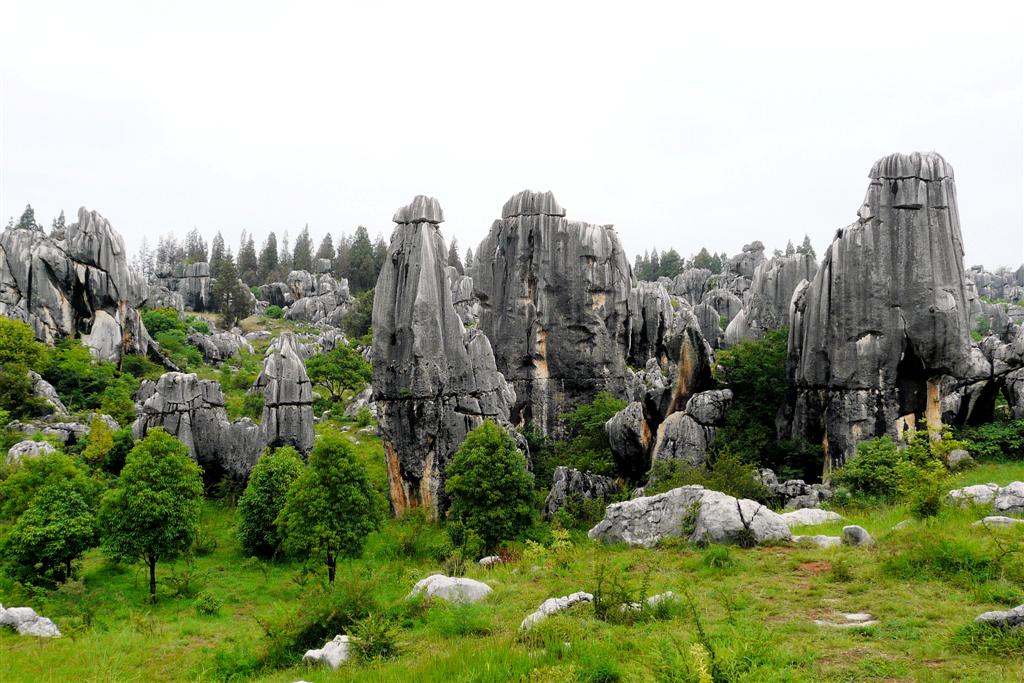 KUNMING - het stenen woud