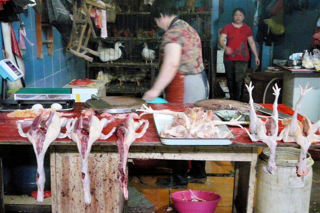 YANGSHUO - eenden en kippen op een lokale markt