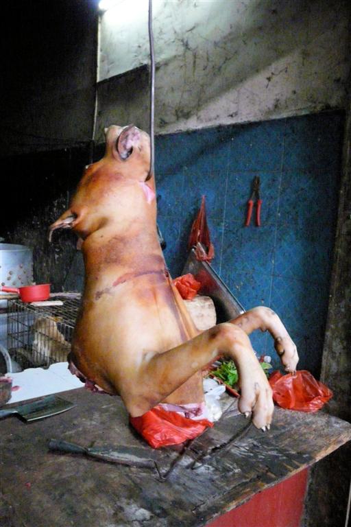 YANGSHUO - een halve hond op een lokale markt