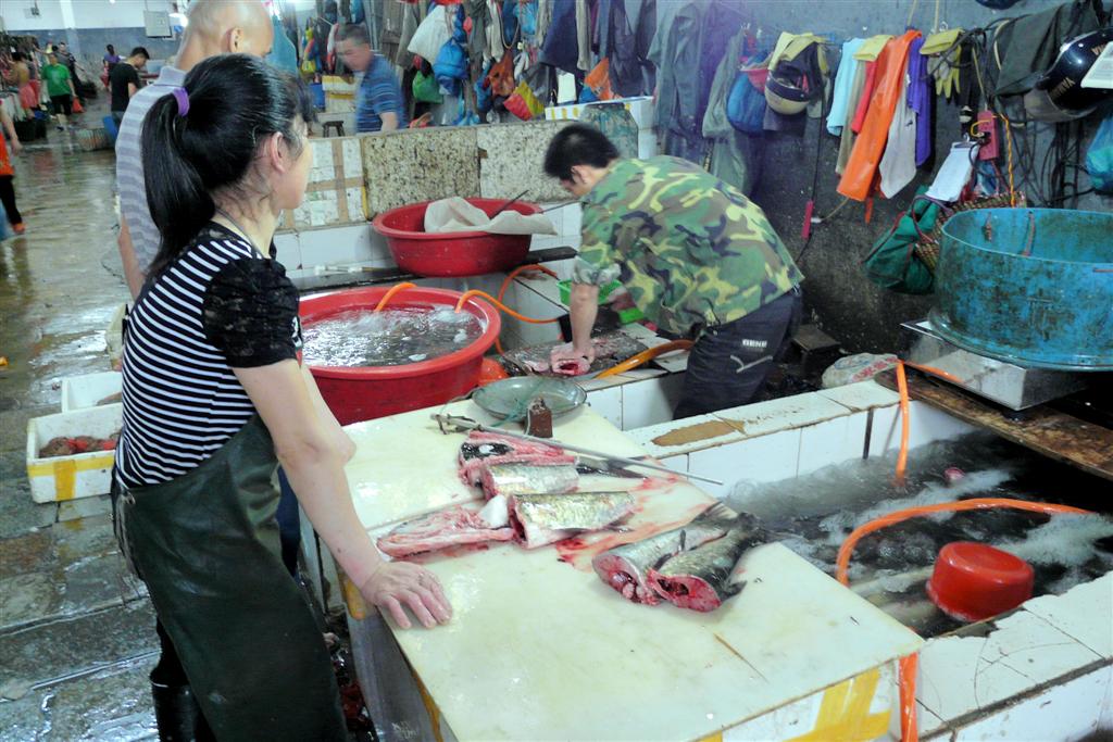 YANGSHUO - vissen op een lokale markt