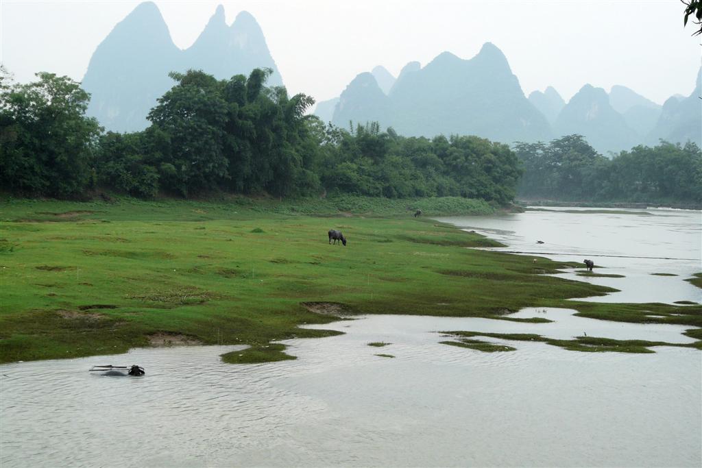 YANGSHUO - het landschap rondom de Li-rivier