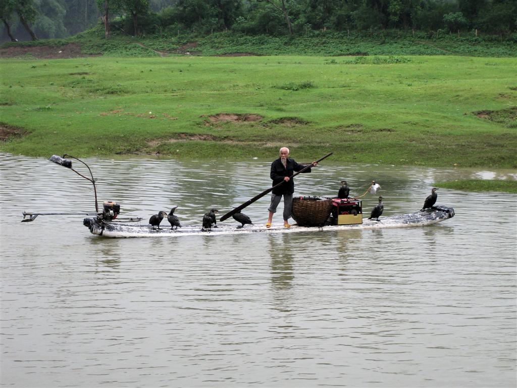 YANGSHUO - een man met aalscholvers die voor hem vissen