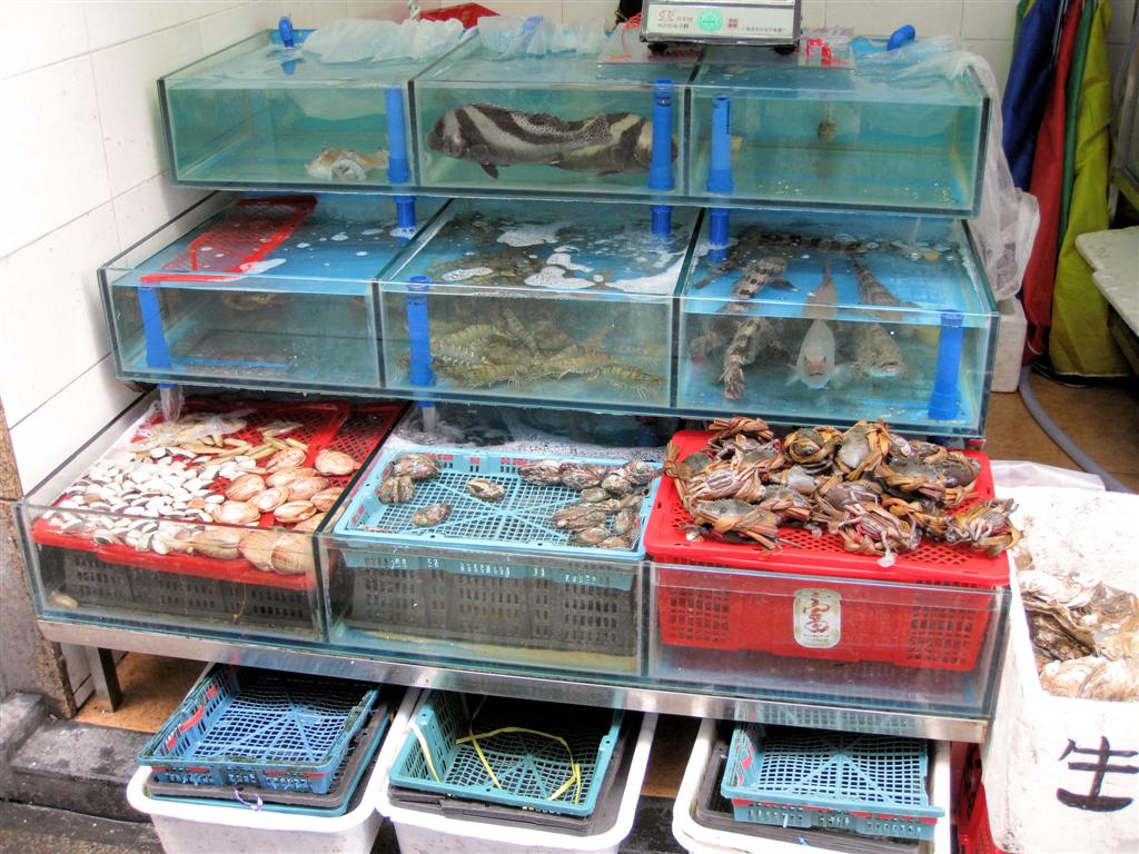 GUANGZHOU - diverse dieren op de vismarkt