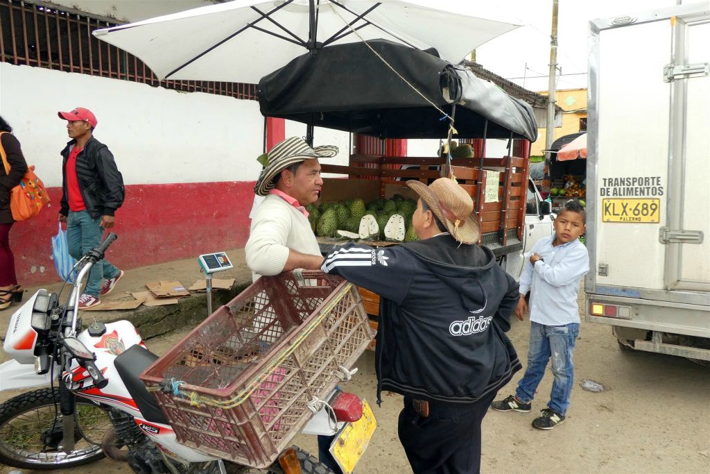 ISNOS - de verkoop van het fruit guanabana bij een markt