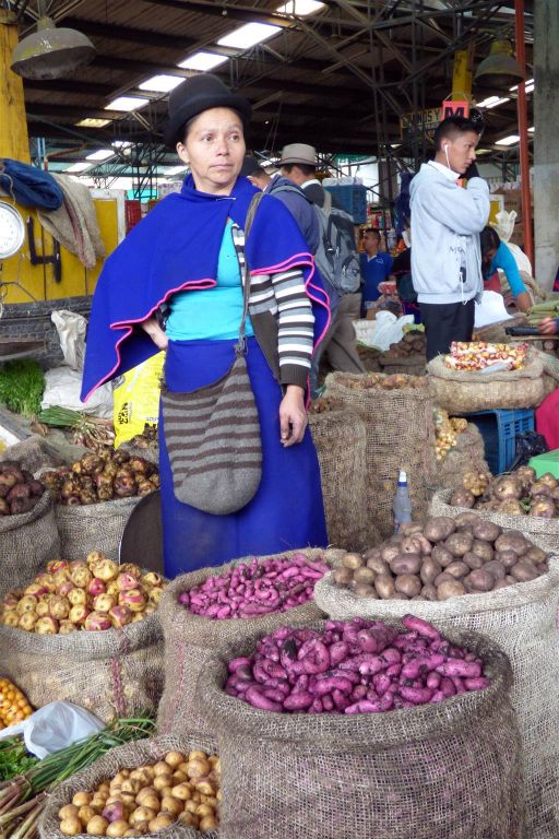 SILVIA - een Guambiano indiaan op een groente en fruit markt