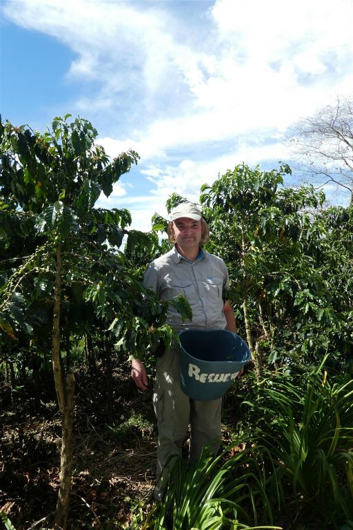 CALARCA - Carlos tijdens het plukken van koffiebonen bij de koffieboerderij van Recuca