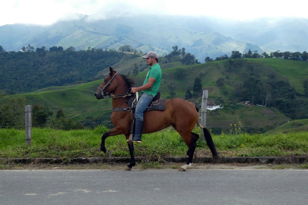 SALAMINA -> SAN FELIX - een Colombiaan op een paard