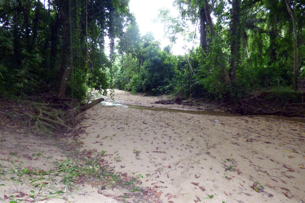 TAYRONA - een rivierbedding