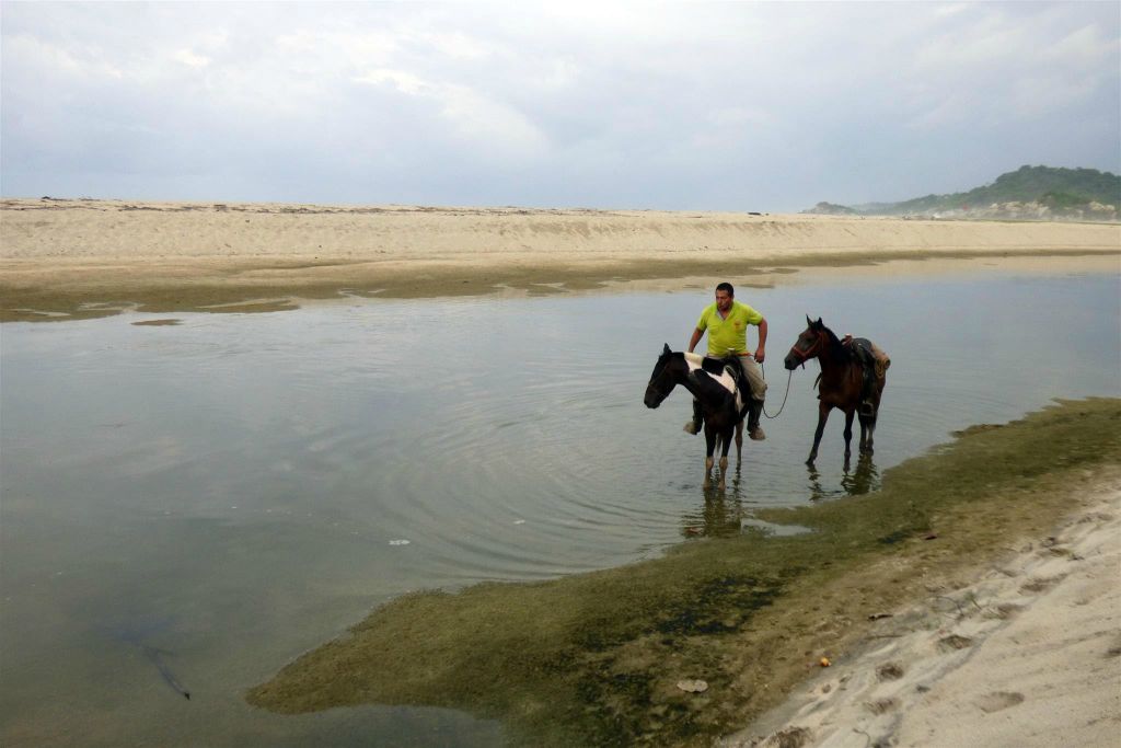 TAYRONA - twee paarden in een waterplas