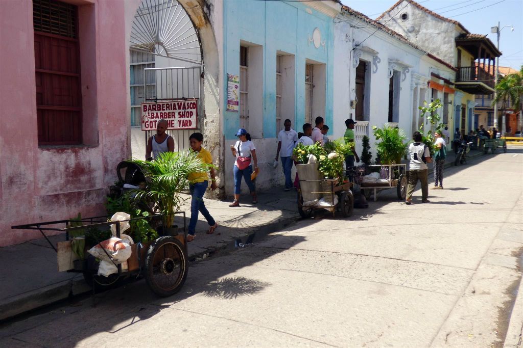CARTAGENA - enkele straat planten verkopers