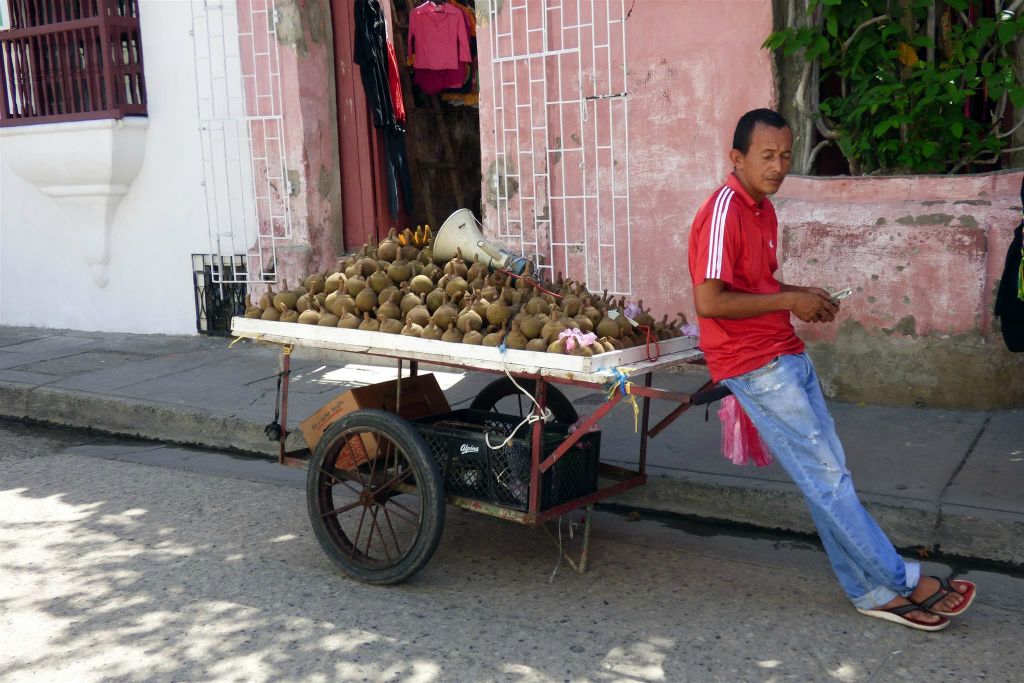CARTAGENA - een straatverkoper met zapote fruit