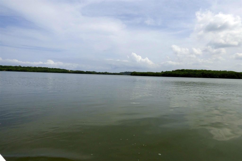 CARTAGENA - een meer met mangrove bossen in de wijk La Boquilla