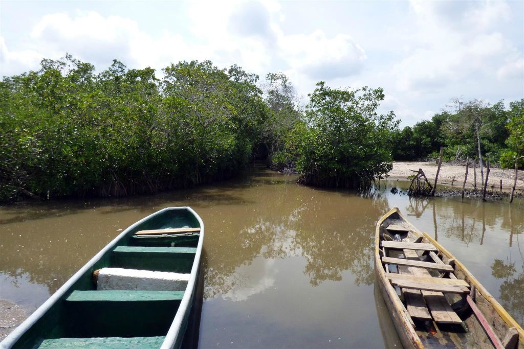 CARTAGENA - twee boten waarmee we door een mangrove gevaren hebben in de wijk La Boquilla