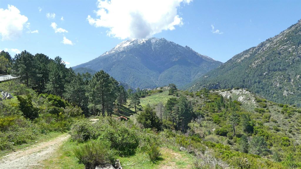 CORSICA - VIVARIO - het landschap