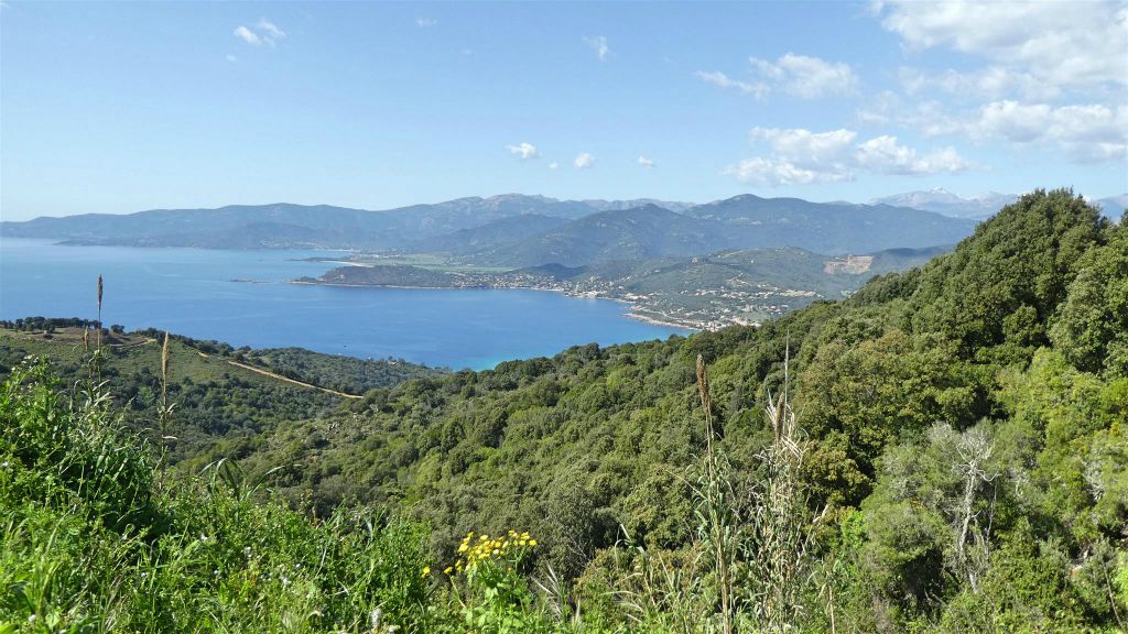 CORSICA - CALCATOGGIO - het landschap