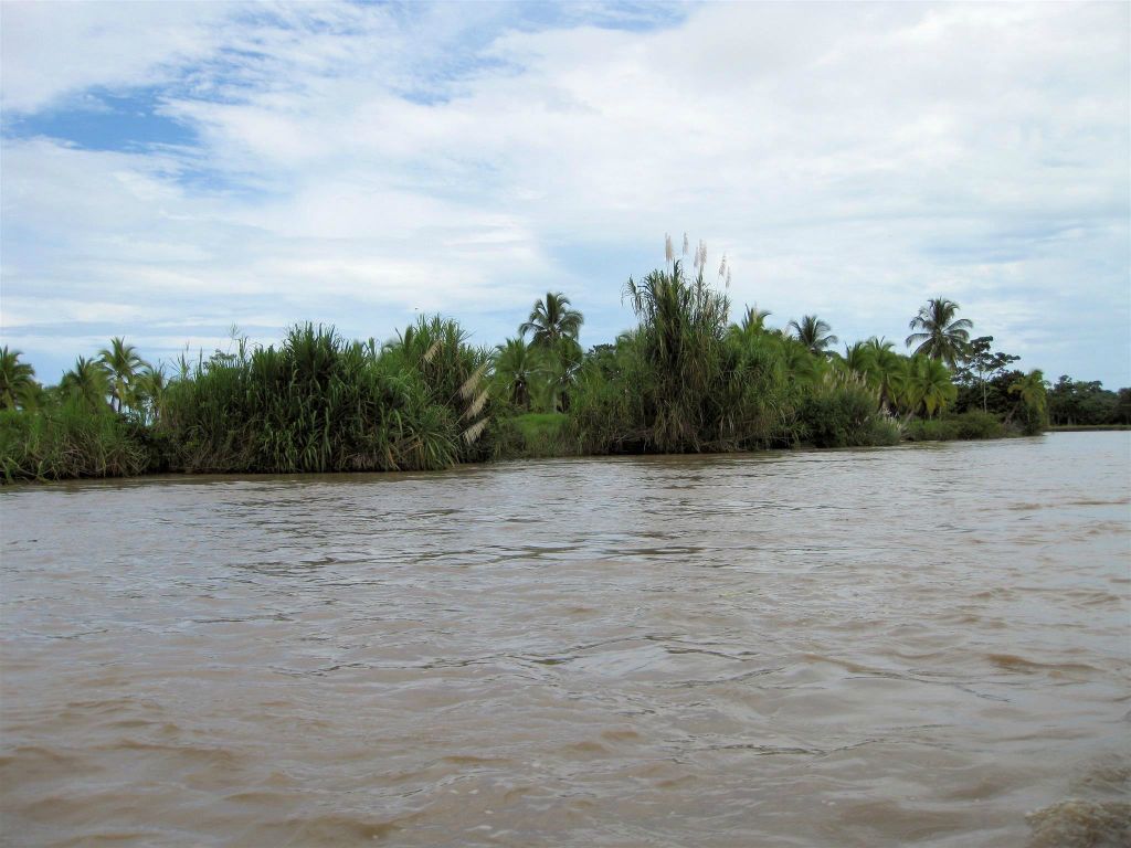 CAÑO BLANCO -> TORTUGUERO NATIONAL PARK - het landschap