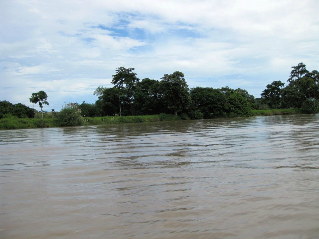 CAÑO BLANCO -> TORTUGUERO NATIONAL PARK - het landschap