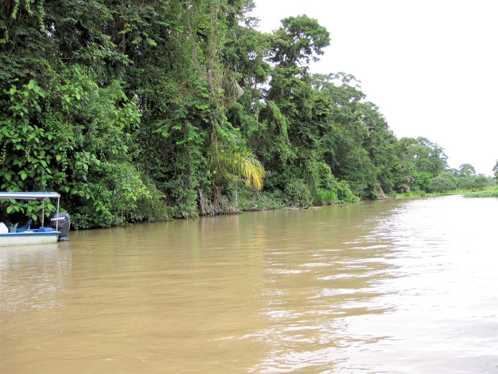 CAÑO BLANCO -> TORTUGUERO NATIONAL PARK - het landschap