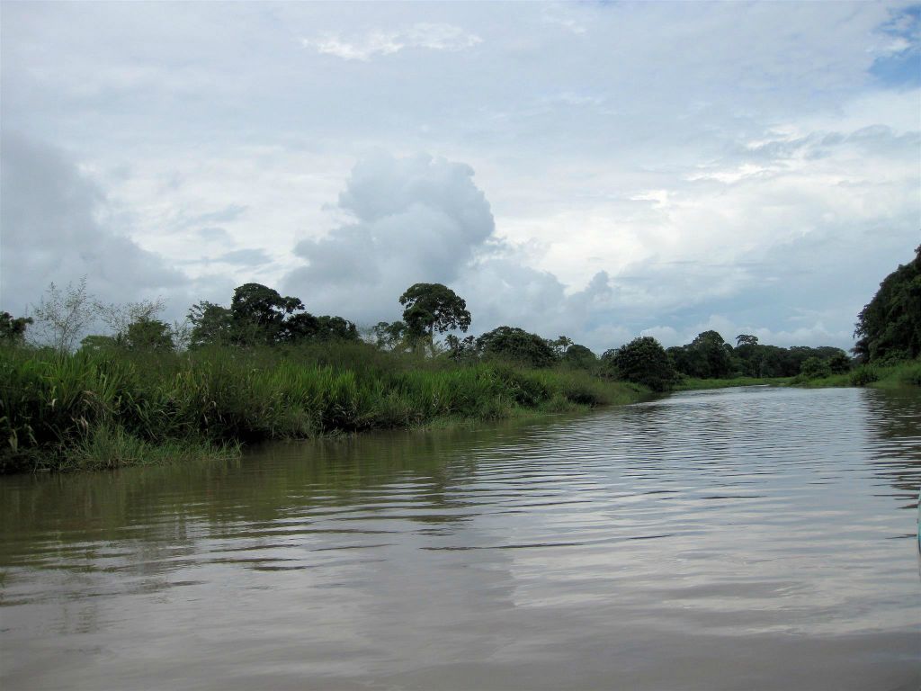 CAÑO BLANCO -> TORTUGUERO NATIONAL PARK - het landschap