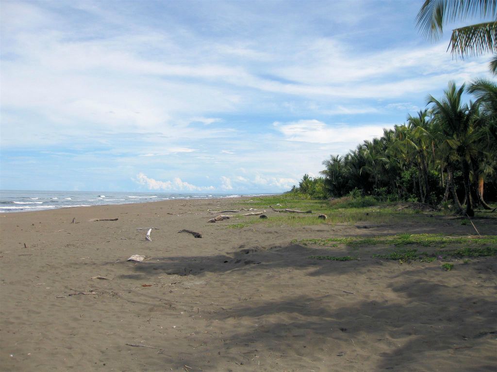 TORTUGUERO NATIONAL PARK - het strand aan de zee
