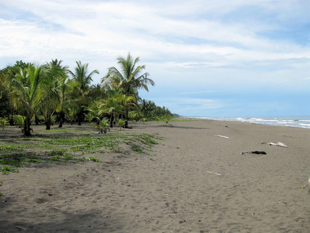 TORTUGUERO NATIONAL PARK - het strand aan de zee