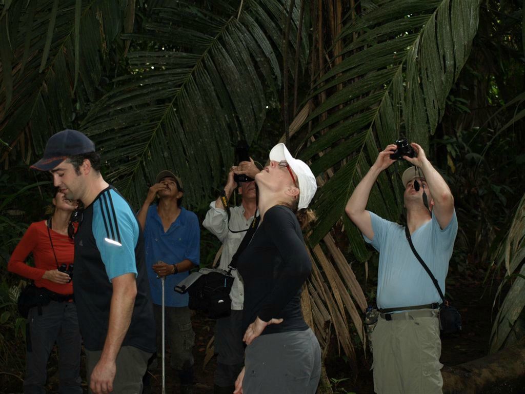 TORTUGUERO NATIONAL PARK - Carlos en groepsgenoten tijdens een schemerwandeling
