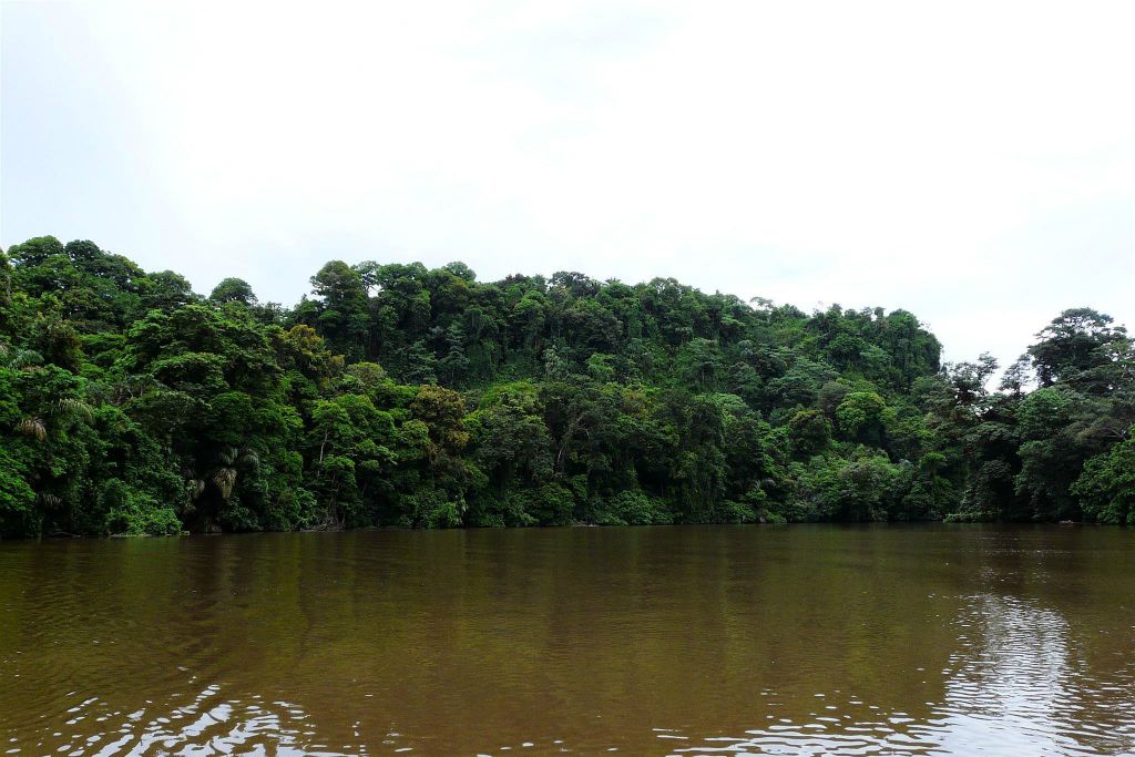 TORTUGUERO NATIONAL PARK - het landschap