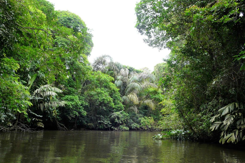 TORTUGUERO NATIONAL PARK - het landschap