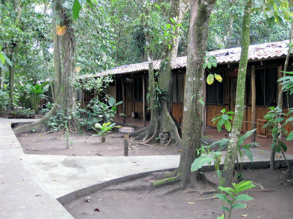 TORTUGUERO NATIONAL PARK - de kamers op de turtle beach lodge waar we verbleven