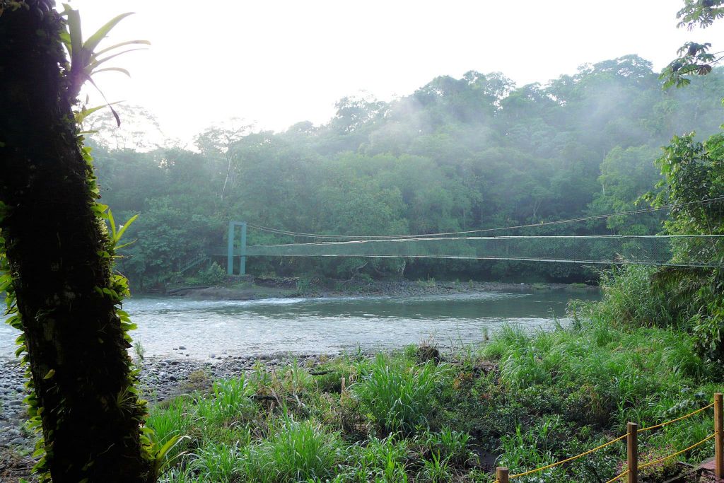 SARAPIQUI - een hangbrug over de rivier bij de lodge