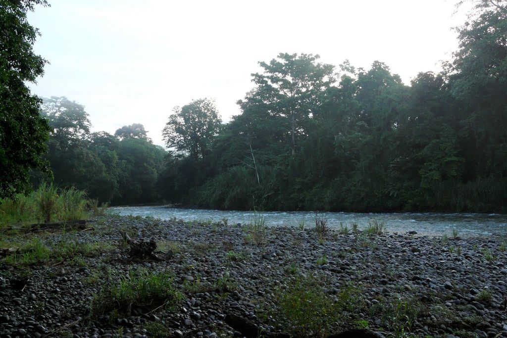 SARAPIQUI - een rivier bij de lodge
