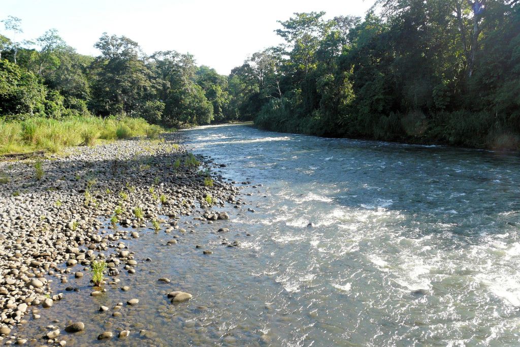 SARAPIQUI - een rivier bij de lodge