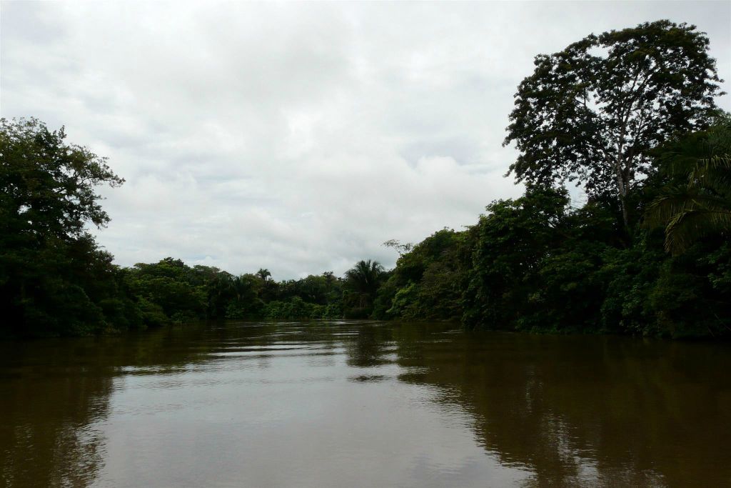 CAÑO NEGRO - het landschap