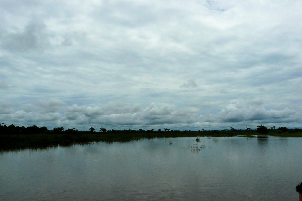 CAÑO NEGRO - het landschap