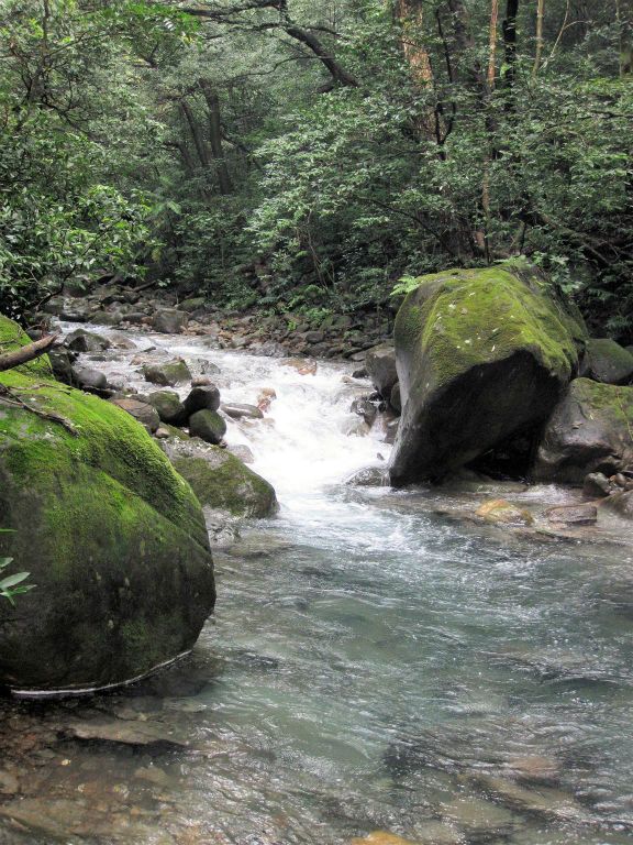RINCÓN DE LA VIEJA - een rivier