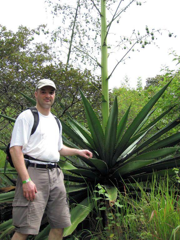 RINCÓN DE LA VIEJA - Carlos bij een cactus
