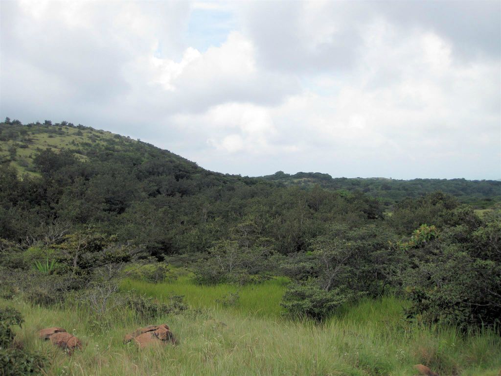 RINCÓN DE LA VIEJA - het landschap