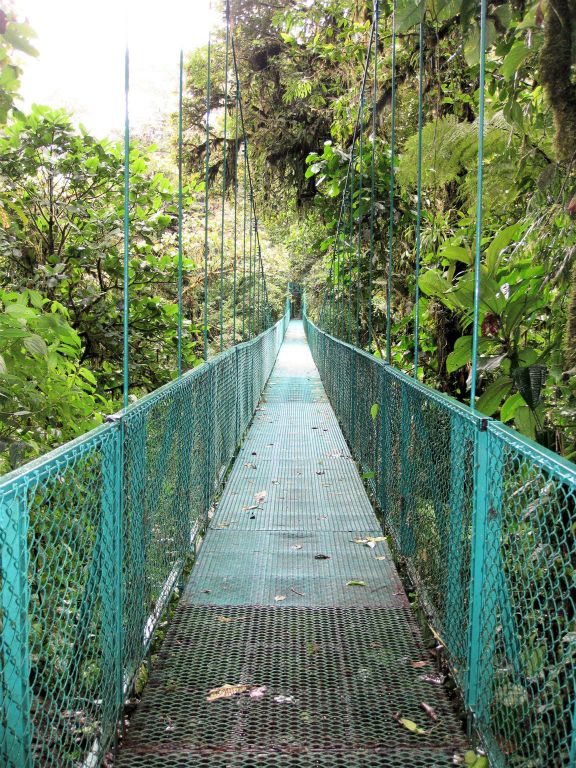 MONTEVERDE - een hangbrug bij de skywalk