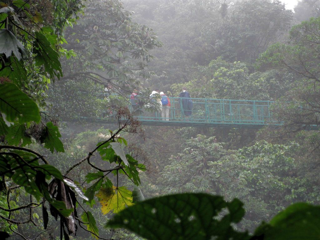 MONTEVERDE - enkele groepsgenoten op een hangbrug bij de skywalk