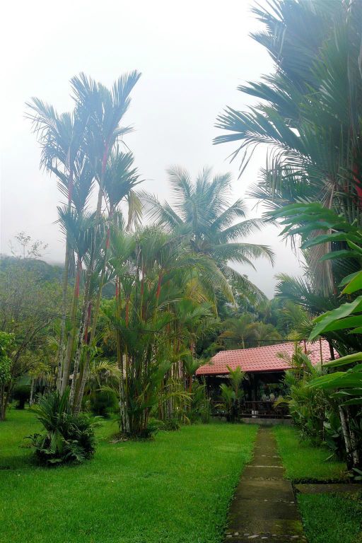 PLAYA DOMINICAL - de tuin van de lodge