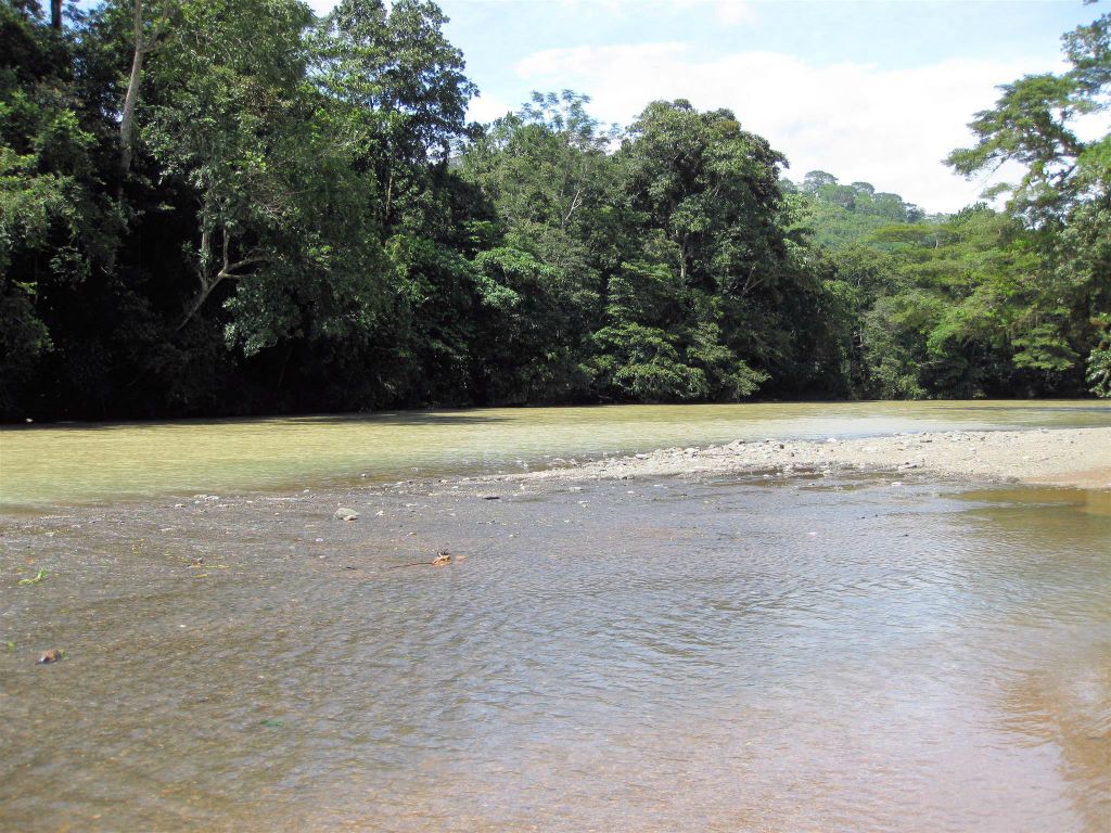 PLAYA DOMINICAL - een rivier